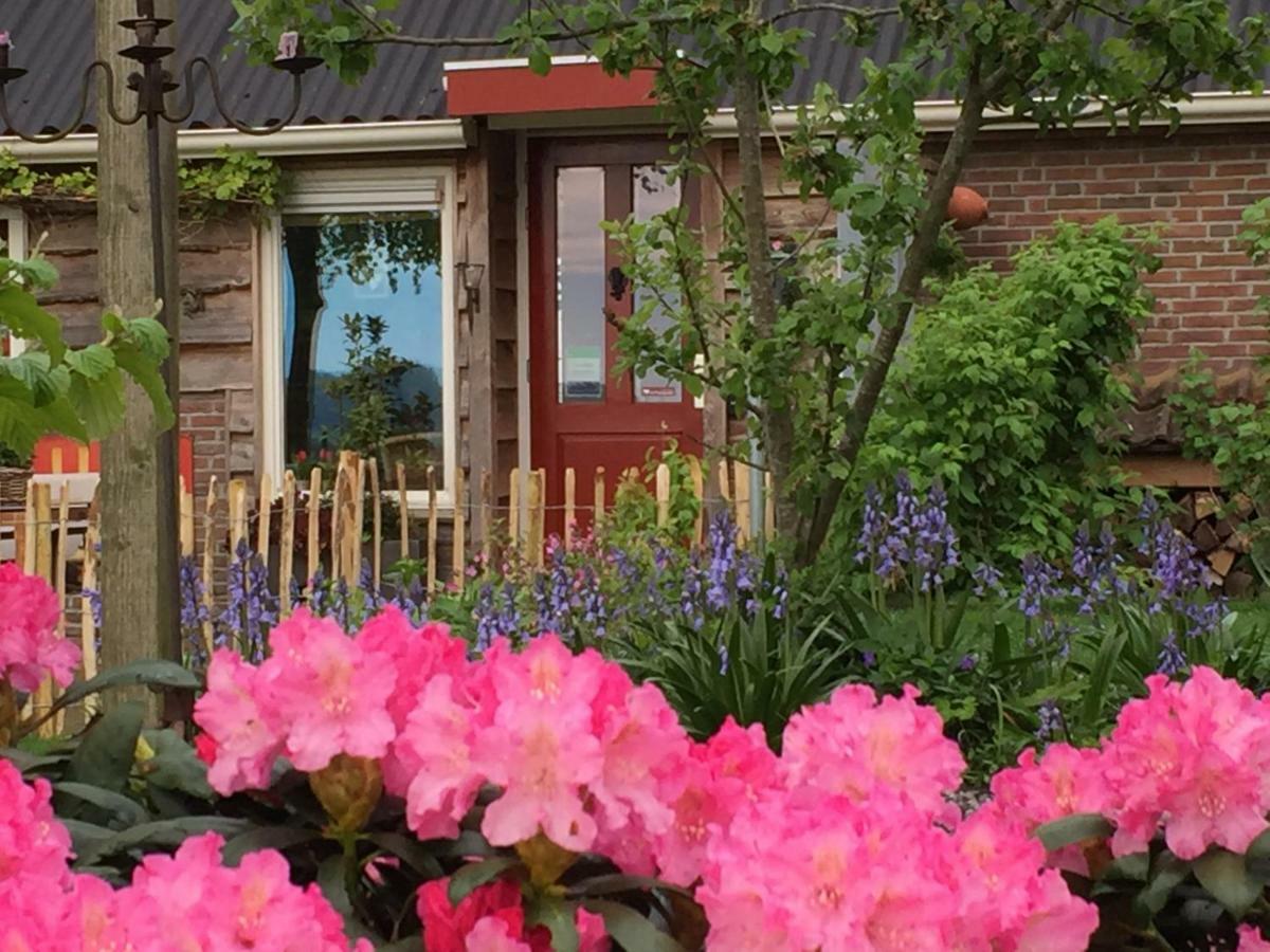 Bed and Breakfast De Porrepoele Alteveer Екстер'єр фото